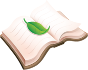 Итоговый протокол